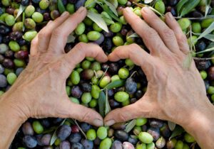 Hands in the shape of a heart